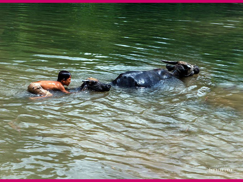 Ảnh Cấn Đình Loan (Tiên Yên, Quảng Ninh)